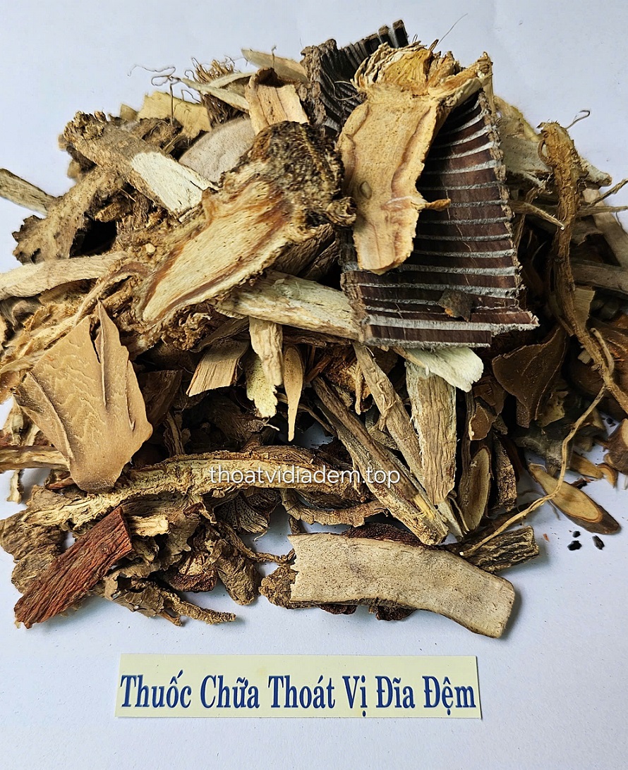 Thuốc chữa thoát vị đĩa đệm 